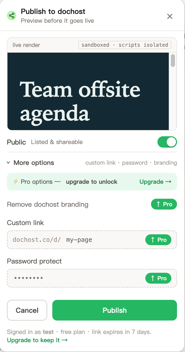 The Publish to dochost panel: live render, the Public toggle, More options expanded with Remove dochost branding, Custom link and Password protect marked Pro, and the Publish button